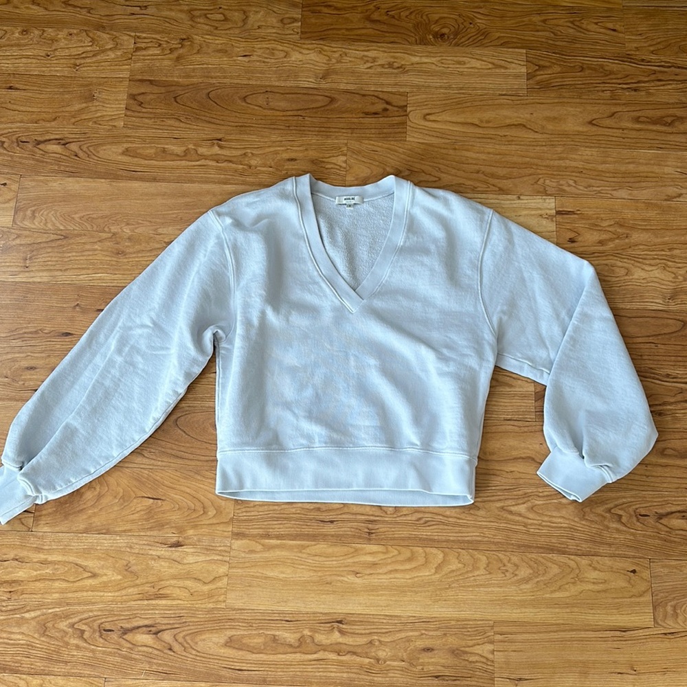 EUC Agolde Terry pullover